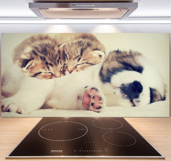 Panel para cocina Dos gatos y un perro