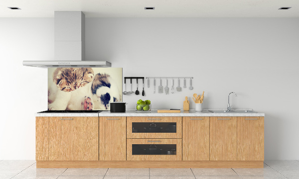 Panel para cocina Dos gatos y un perro