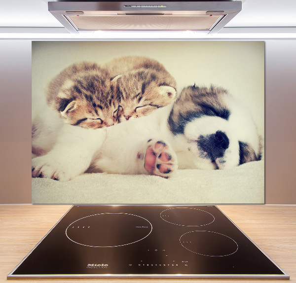 Panel para cocina Dos gatos y un perro