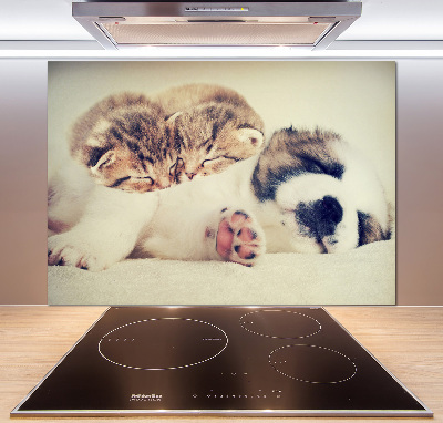 Panel para cocina Dos gatos y un perro