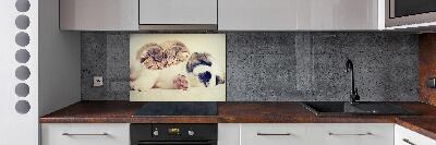 Panel para cocina Dos gatos y un perro