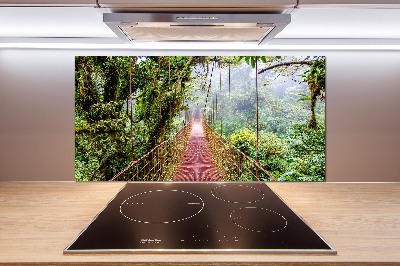 Panel antisalpicaduras Un puente en los trópicos