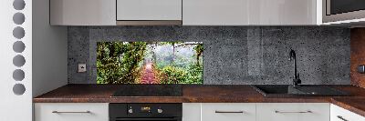 Panel antisalpicaduras Un puente en los trópicos