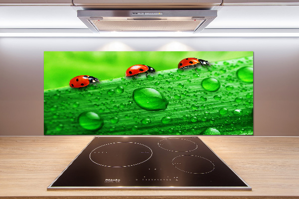 Panel lacobel Biedronki na trawie