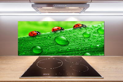 Salpicadero de cocina Mariquitas en la hierba