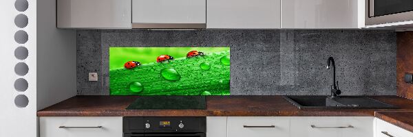 Salpicadero de cocina Mariquitas en la hierba