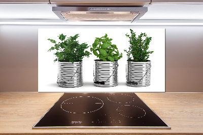 Salpicadero para cocina Plantas aromáticas