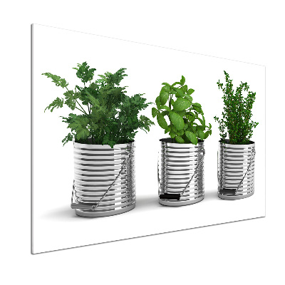 Salpicadero para cocina Plantas aromáticas