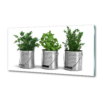 Salpicadero para cocina Plantas aromáticas