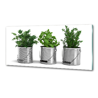 Salpicadero para cocina Plantas aromáticas