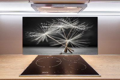 Salpicadero de cocina semillas de diente de león