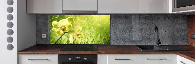 Panel para cocina Orquídea