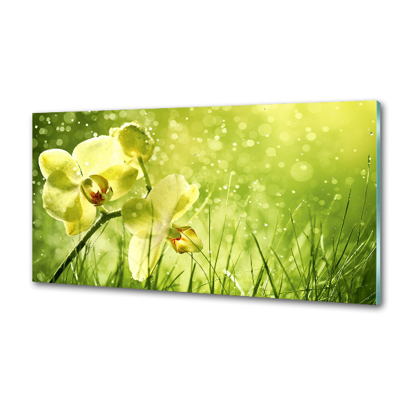 Panel między meble w kuchni Orchidea