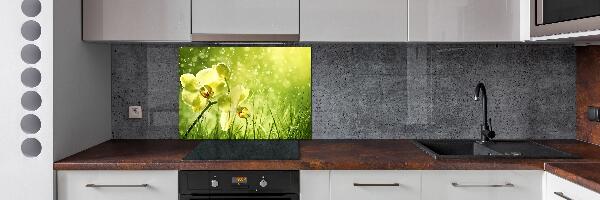 Panel para cocina Orquídea