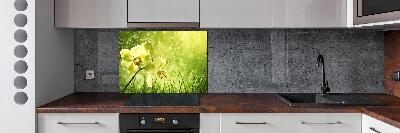 Panel para cocina Orquídea