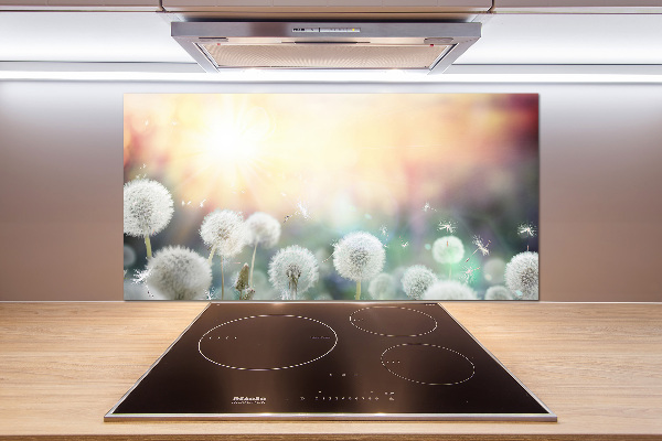 Panel de pared de cocina Campo de dientes de león