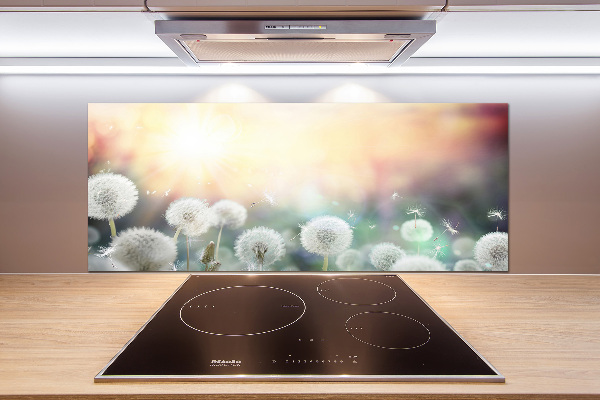 Panel de pared de cocina Campo de dientes de león