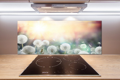 Panel de pared de cocina Campo de dientes de león