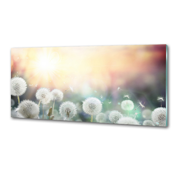 Panel de pared de cocina Campo de dientes de león