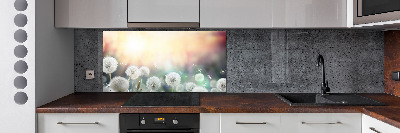 Panel de pared de cocina Campo de dientes de león