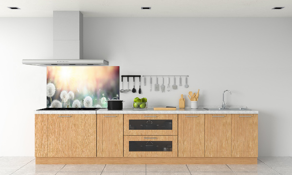 Panel de pared de cocina Campo de dientes de león