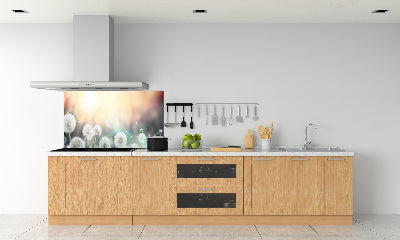 Panel de pared de cocina Campo de dientes de león