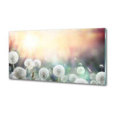 Panel do kuchni Pole dmuchawców