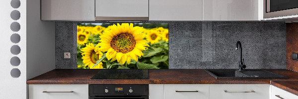 Panel para cocina Un campo de girasoles
