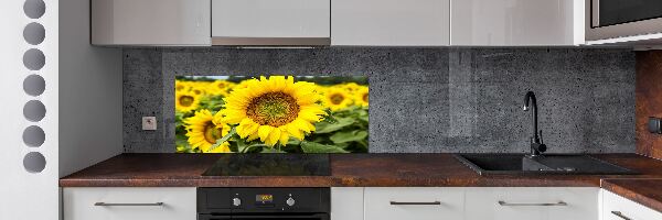 Panel para cocina Un campo de girasoles
