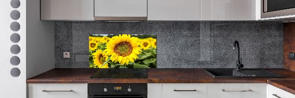 Panel para cocina Un campo de girasoles