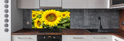 Panel para cocina Un campo de girasoles