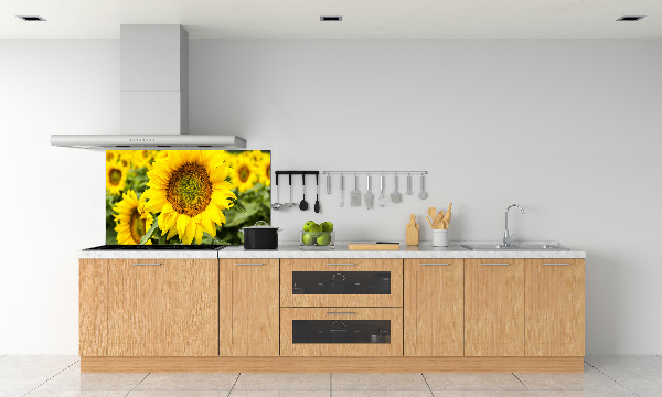 Panel para cocina Un campo de girasoles