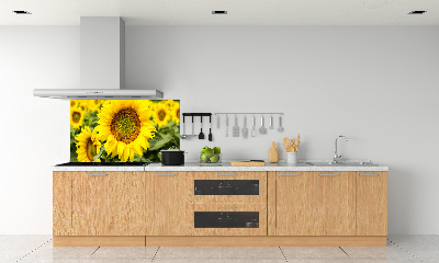 Panel para cocina Un campo de girasoles