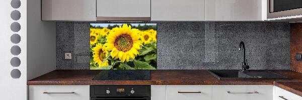 Panel para cocina Un campo de girasoles