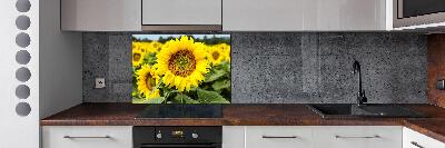 Panel para cocina Un campo de girasoles