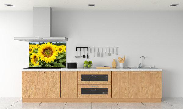 Panel para cocina Un campo de girasoles