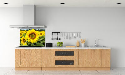 Panel para cocina Un campo de girasoles