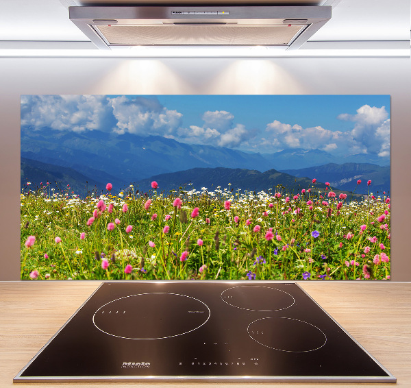 Panel para cocina Pradera en las montañas