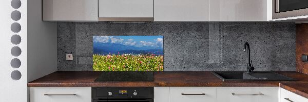 Panel para cocina Pradera en las montañas