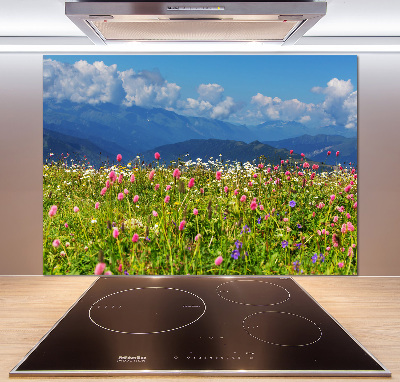 Panel para cocina Pradera en las montañas