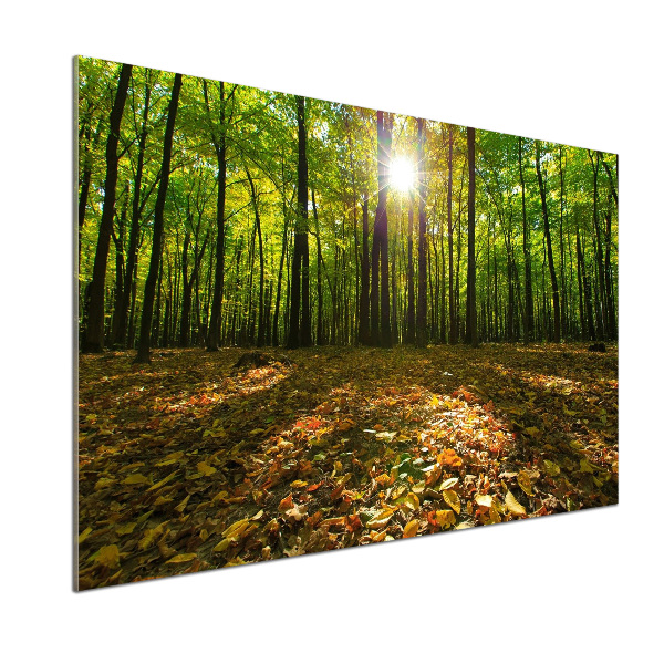 Panel szkło hartowane do kuchni Las