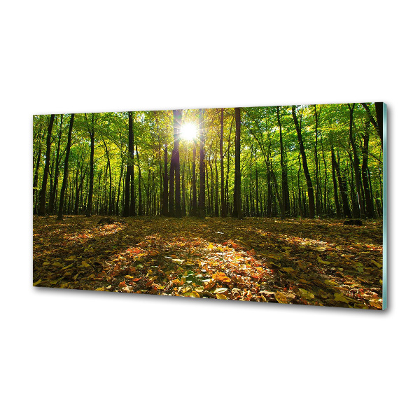 Panel antisalpicaduras Bosque