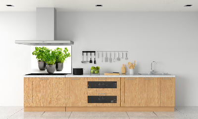 Panel para cocina Hierbas en macetas