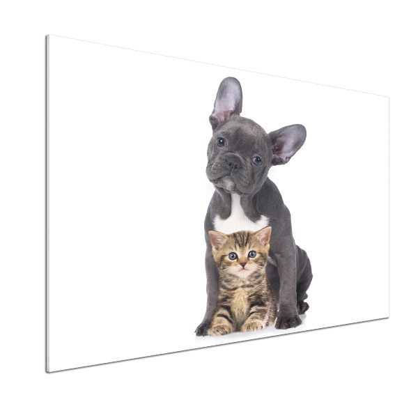 Panel antisalpicaduras Perro y gato