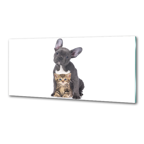 Panel antisalpicaduras Perro y gato