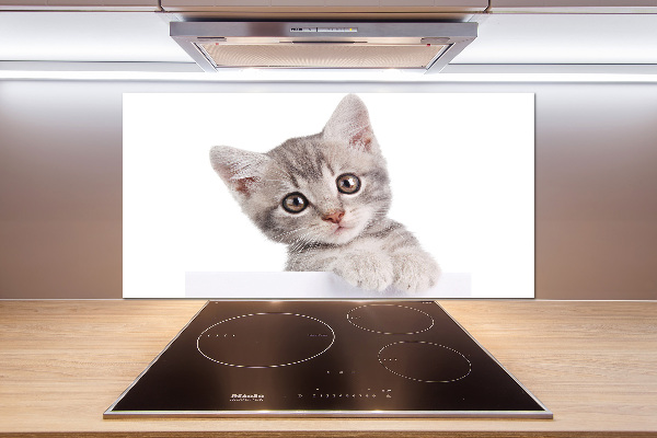 Panel para cocina gato gris