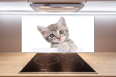 Panel para cocina gato gris