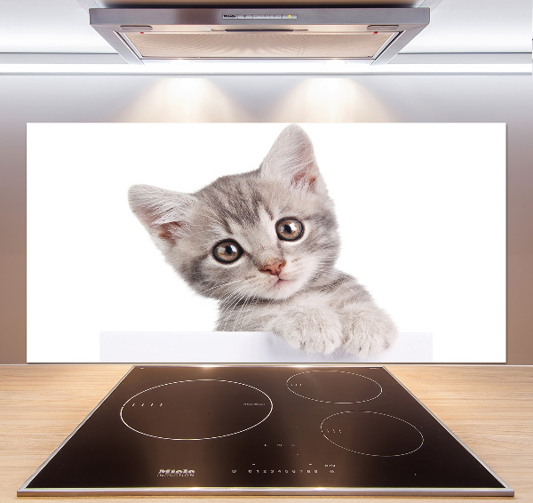 Panel para cocina gato gris