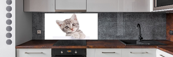 Panel para cocina gato gris
