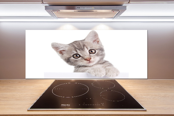 Panel para cocina gato gris